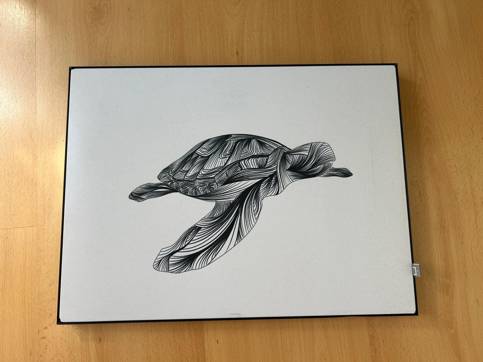 Zeeschildpad op doek, Ophalen, Zo goed als nieuw, Schilderij