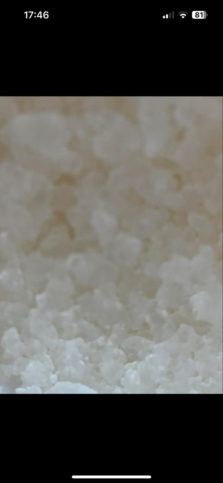 Biologische water kefir korrels, Ophalen