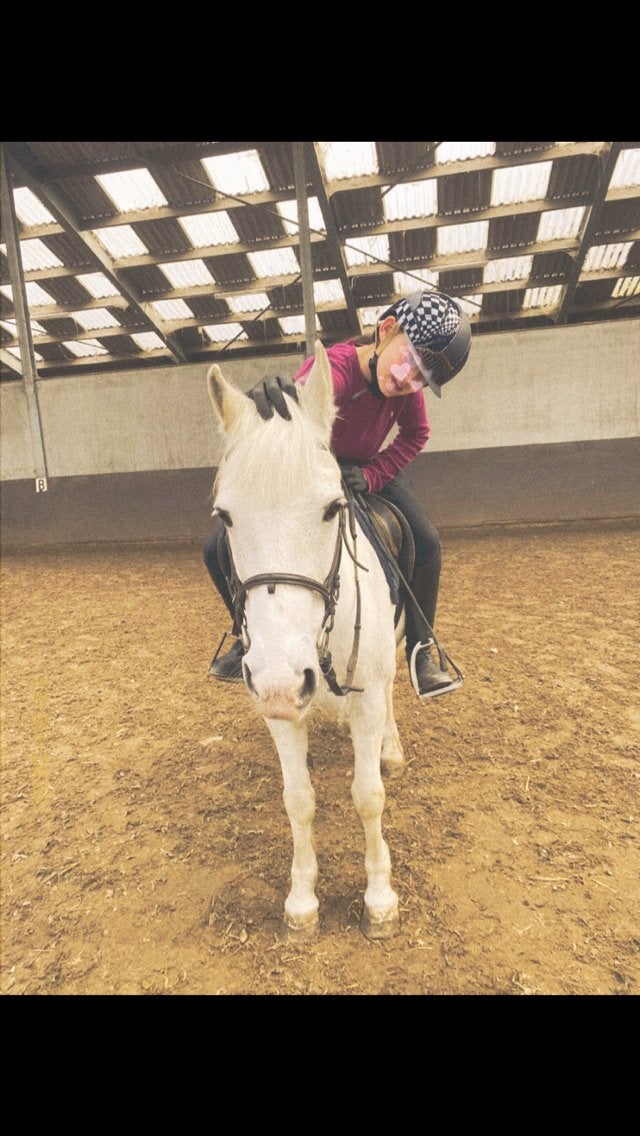 lease pony, Ophalen of Verzenden, Nieuw
