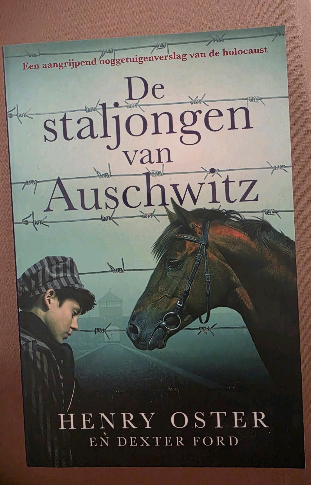 Henry Oster - De staljongen van Auschwitz, Ophalen of Verzenden, Zo goed als nieuw, Henry Oster; Dexter Ford