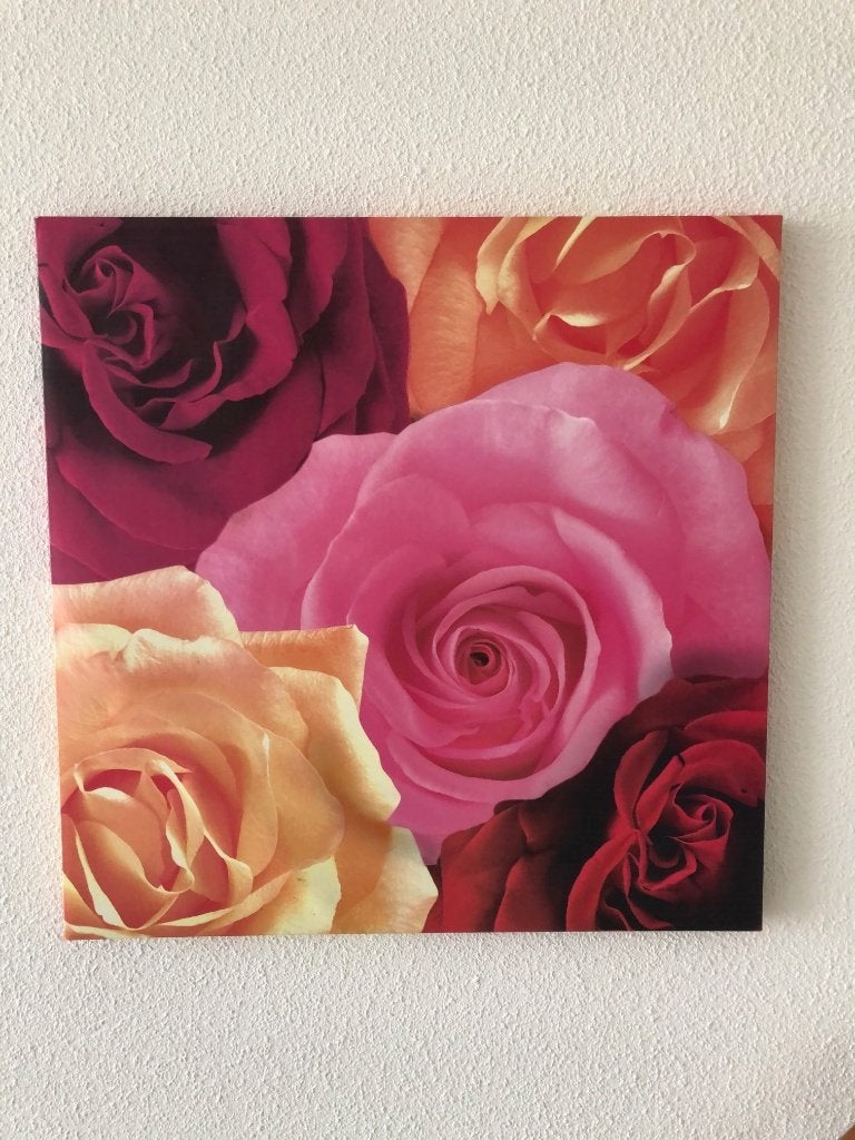 Canvas wanddecoratie, fotolijst met rozen., Gebruikt, Meerkleurig, Ophalen of Verzenden, Wandbord of Wandpaneel