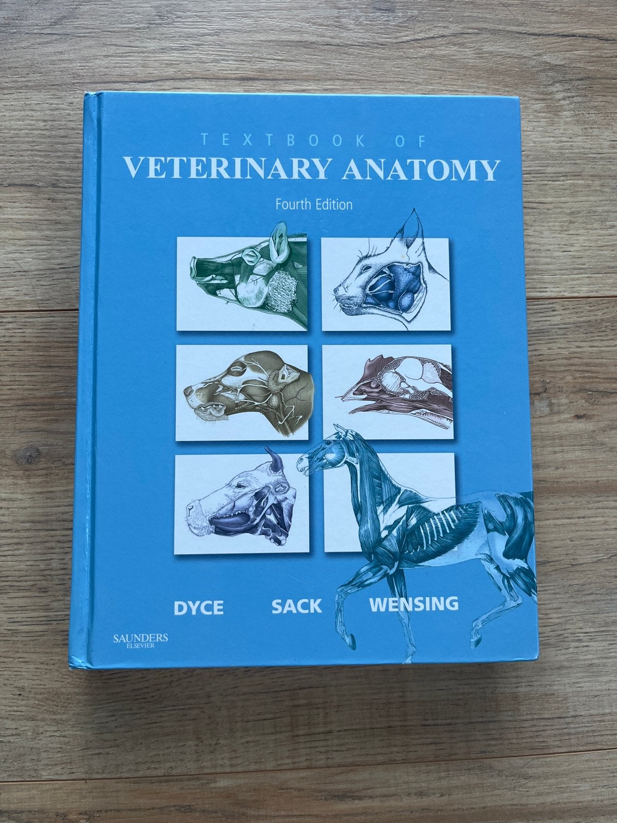 Textbook of Veterinary Anatomy - 4e editie, Ophalen of Verzenden, Beta, Zo goed als nieuw, WO