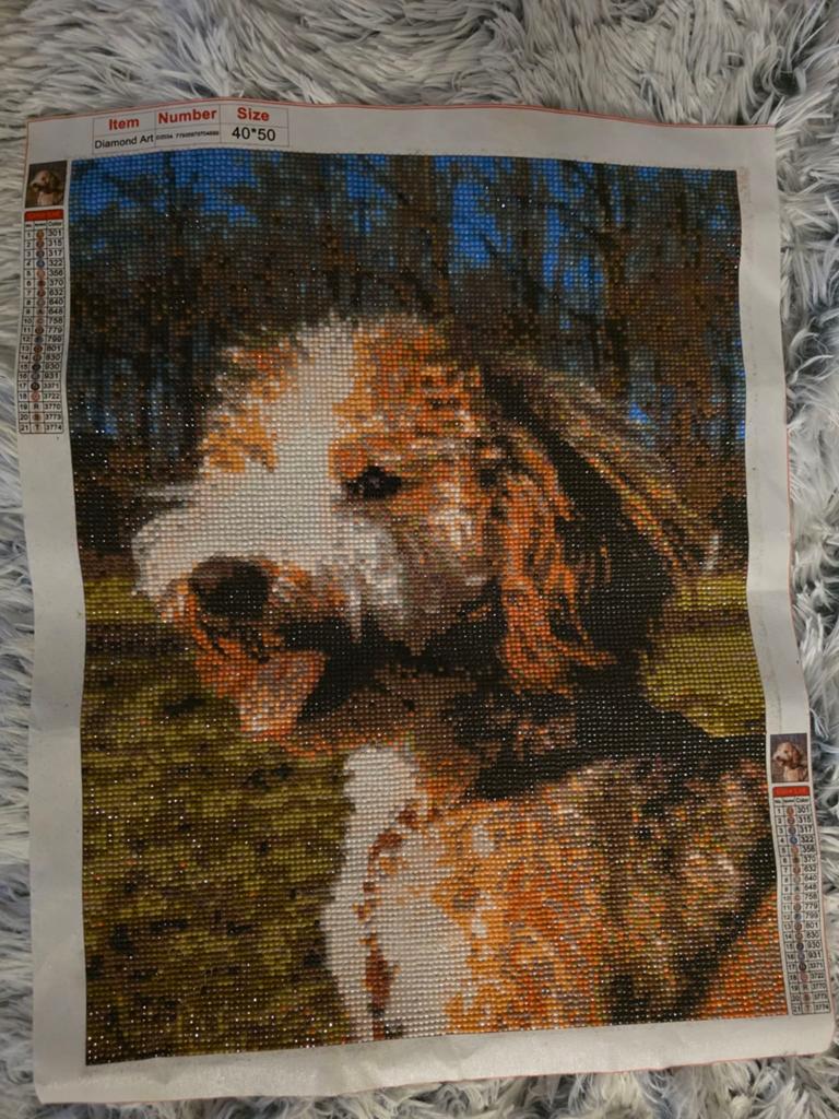 Diamond painting photo 3040, 4050, Ophalen of Verzenden, Nieuw, Handborduren, Overige typen