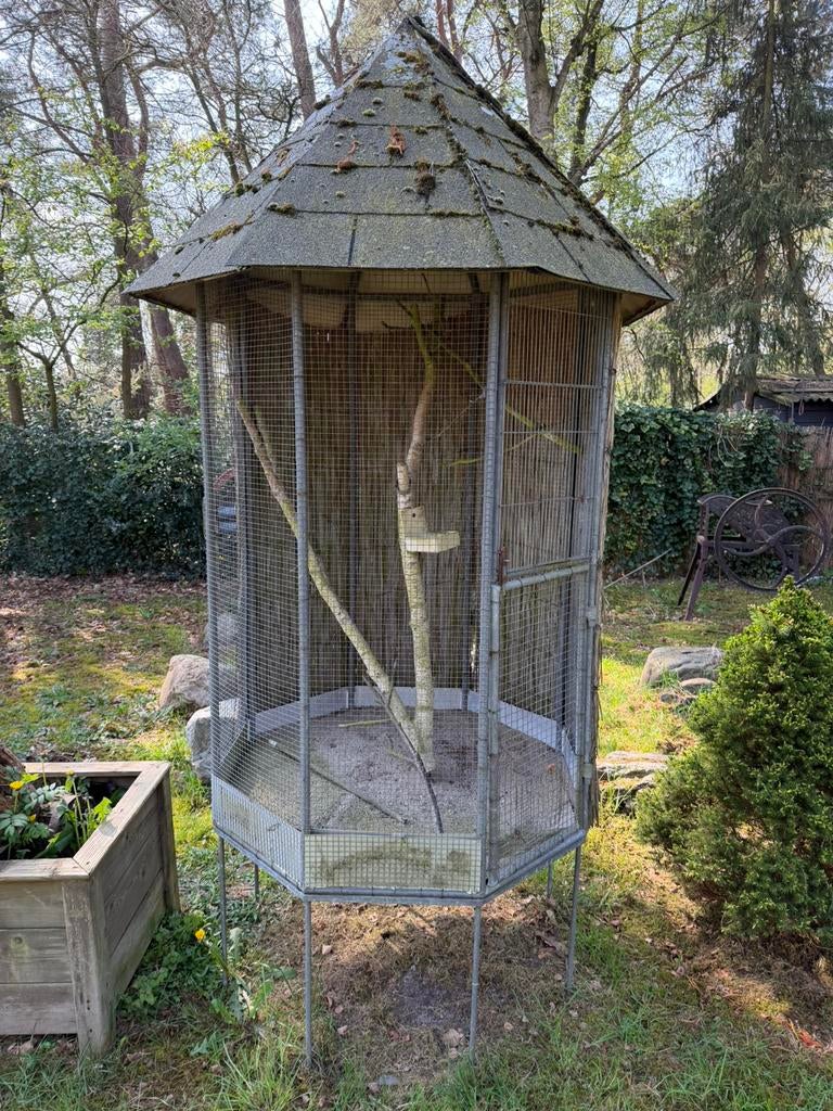 Vogelkooi / Volière – Gegalvaniseerd staal – 2,4 meter hoog, Ophalen, Gebruikt, Metaal, Vogelkooi