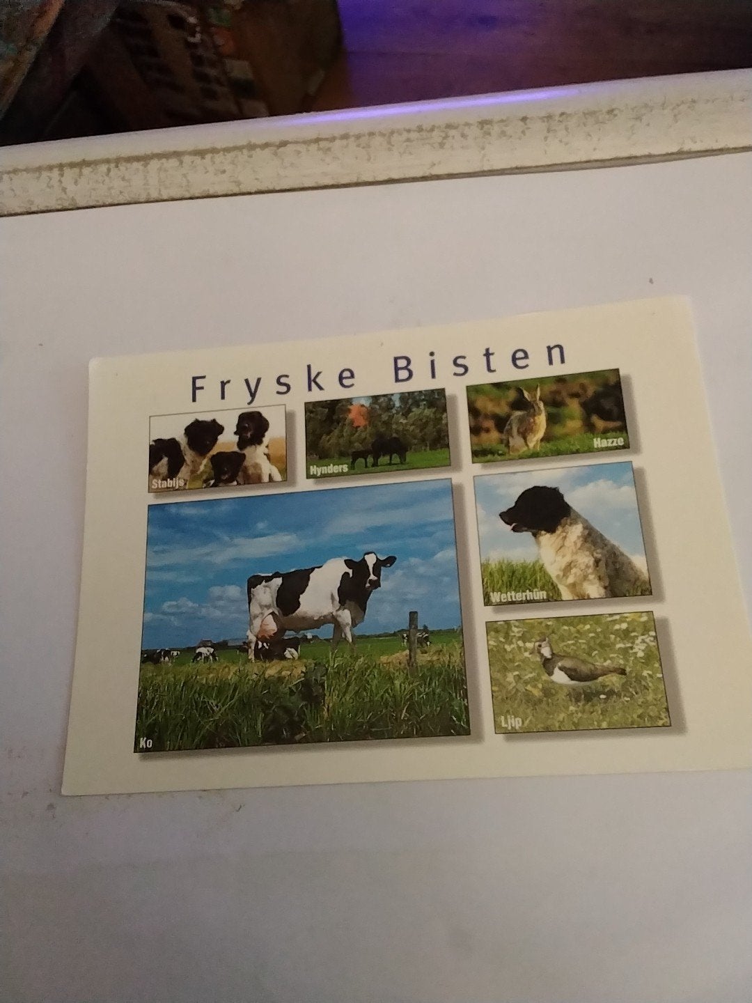 Ansichtkaart 'Fryske Bisten' -   koe, Ophalen of Verzenden, 1980 tot heden, Gelopen