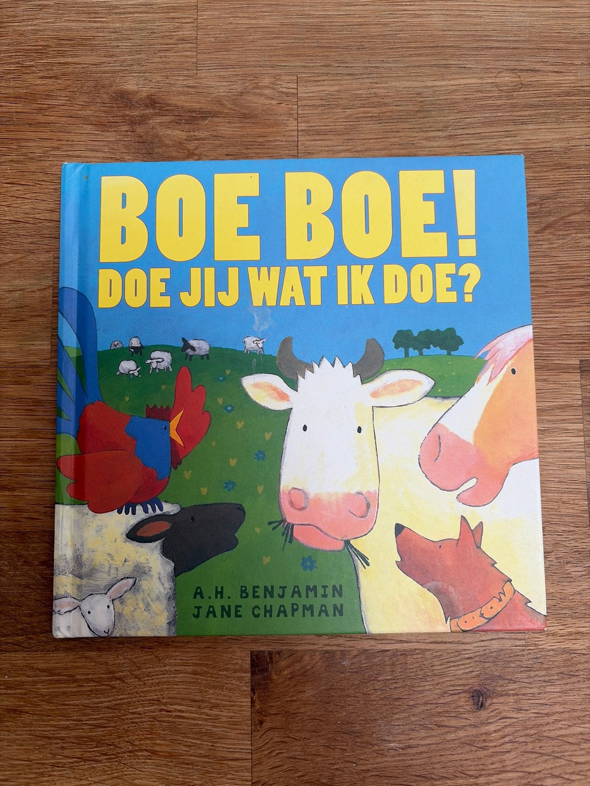 Boe Boe! Doe jij wat ik doe? - Prentenboek, Ophalen of Verzenden, Zo goed als nieuw, 3 tot 4 jaar