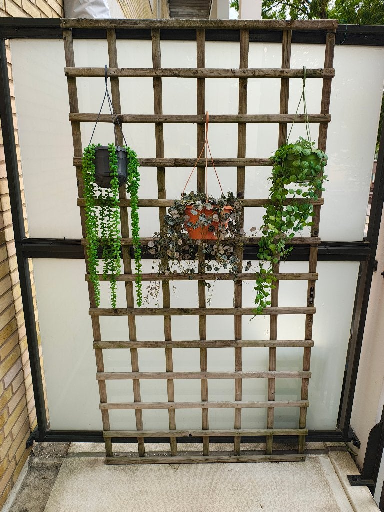 Houten tuinrek/plantenrek (H180 x B91 cm), Ophalen, Gebruikt