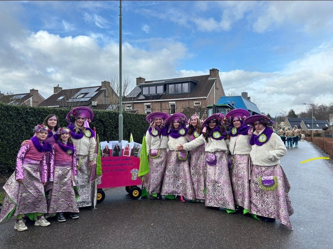 Carnavalskleding loopgroep 8 dames en 2 meisjes, Ophalen of Verzenden, Maat 34 (XS) of kleiner, Carnaval, Kleding