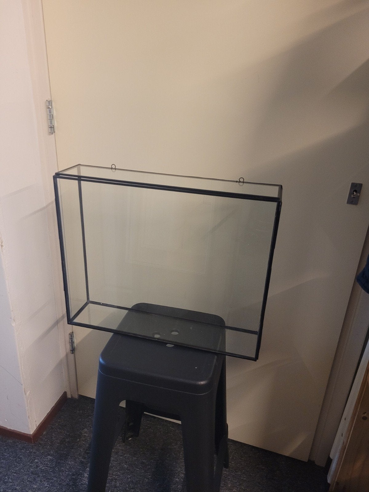 Zwart metalen vitrinekast voor bijv. lammers&lammers, Ophalen, Minder dan 50 cm, Nieuw, Glas