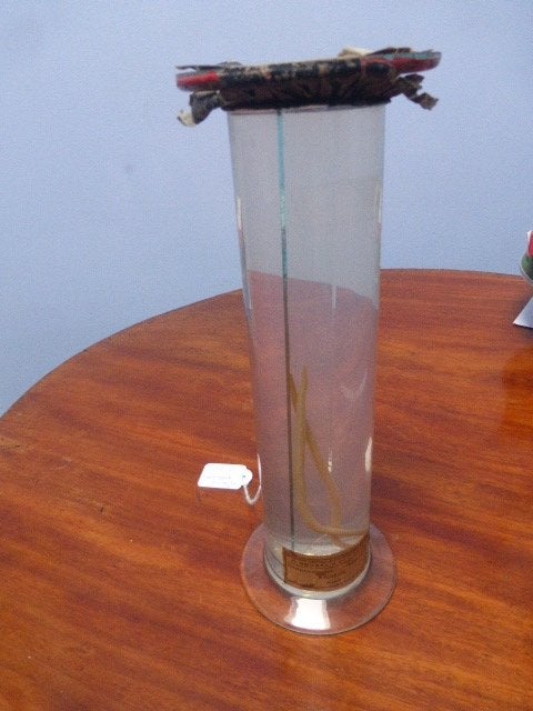 Antieke fles met spoelworm op sterk water., Ophalen of Verzenden