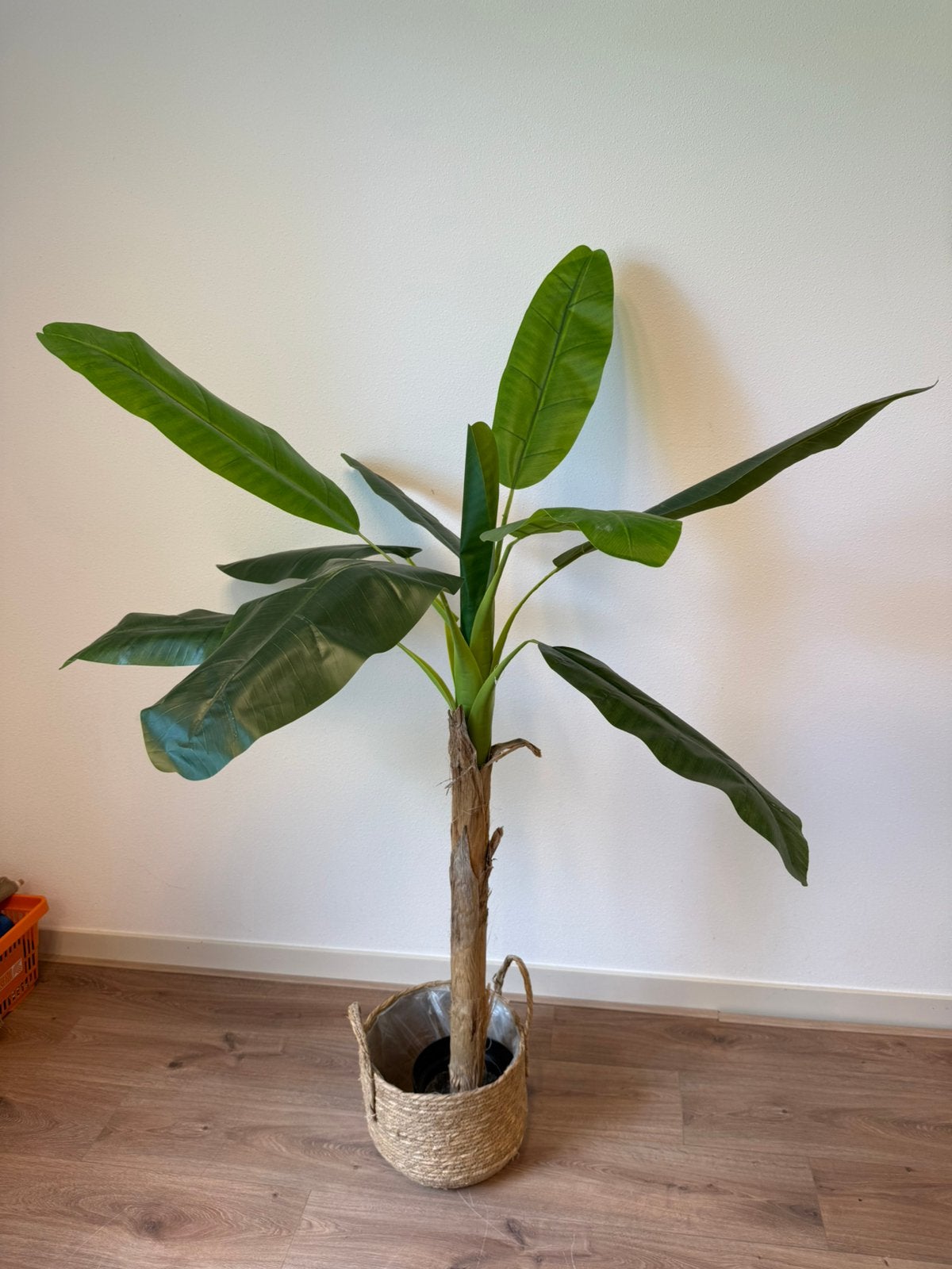 Mooie nieuwe kunst palm, Ophalen, Nieuw