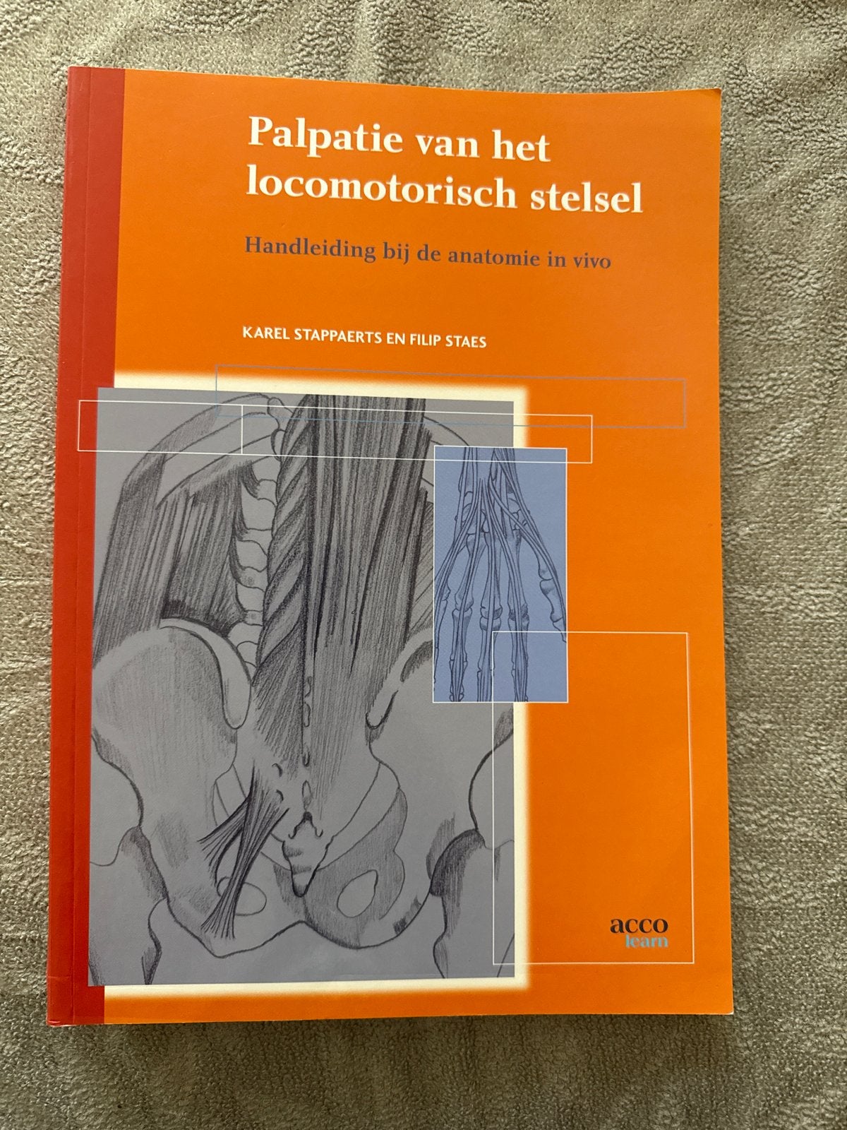Palpatie van het locomotorisch stelsel -  9789033462580, Boeken, Ophalen of Verzenden, Beta, Zo goed als nieuw, HBO
