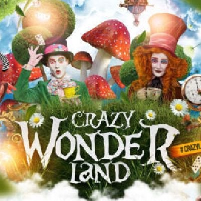 2x tickets Crazy wonderland 2x pendelbus en locker, Tickets en Kaartjes, Twee personen