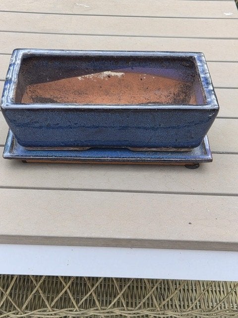 Donkerblauwe rechthoekige bonsai pot  met schotel, Steen, Gebruikt, Minder dan 30 cm, Minder dan 60 cm