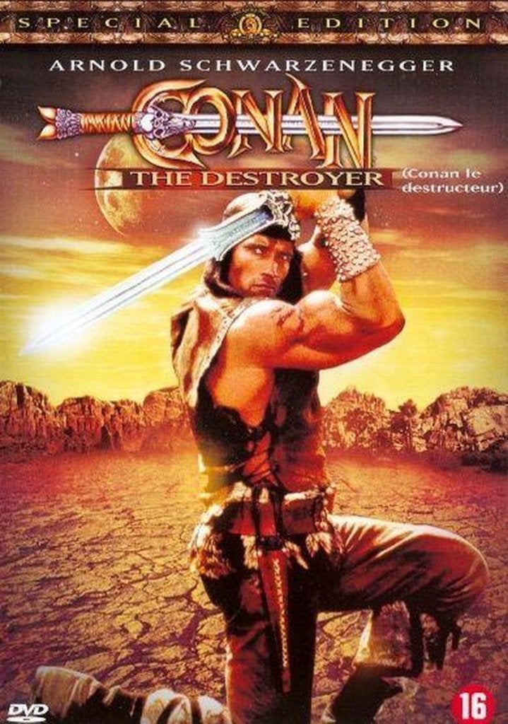 Conan The Destroyer SE DVD, Vanaf 16 jaar, Verzenden, Zo goed als nieuw, Actie