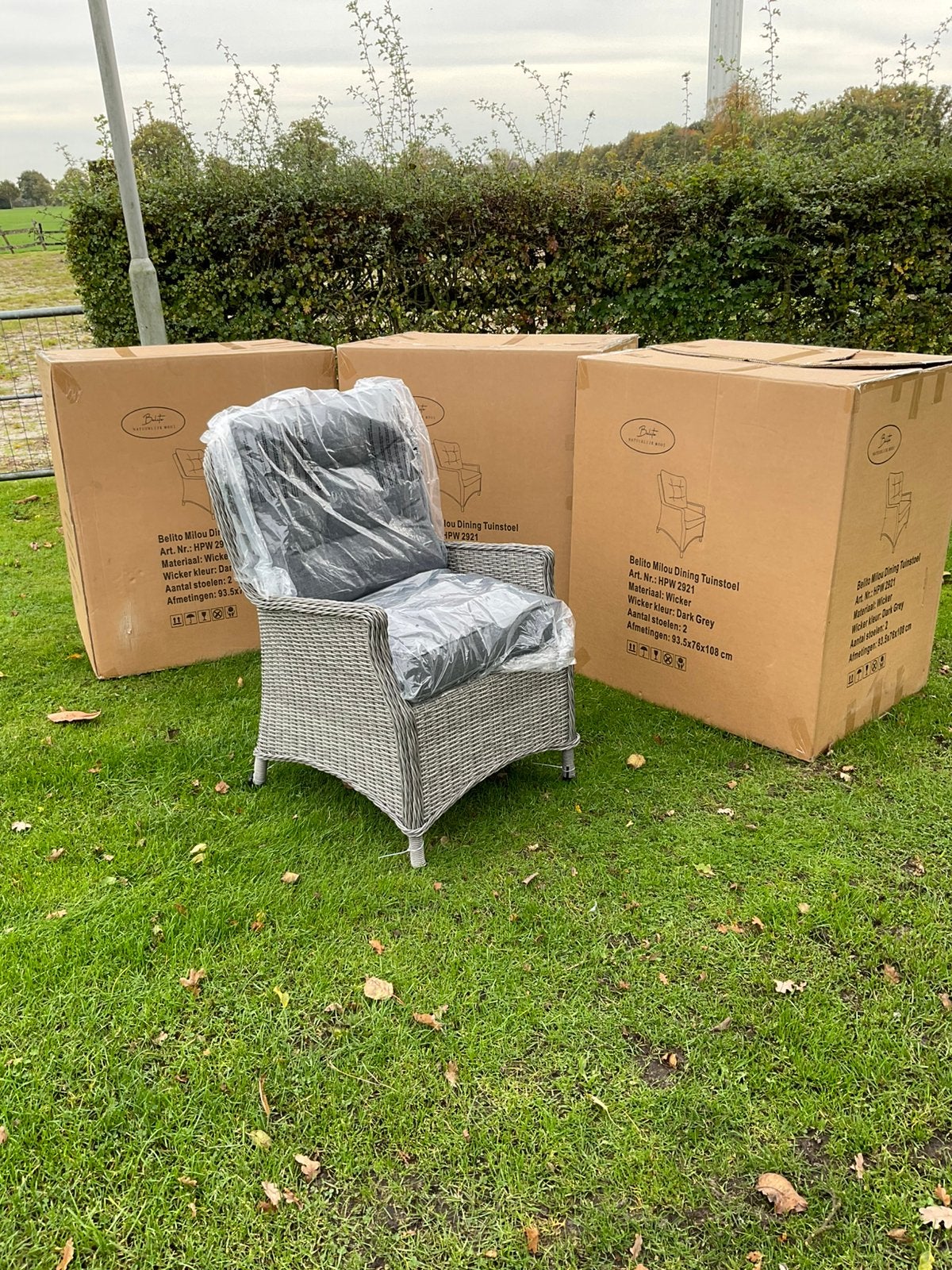 6 nieuwe wicker stoelen met dikke kussens, kleur grijs, Ophalen, Zo goed als nieuw, Wicker