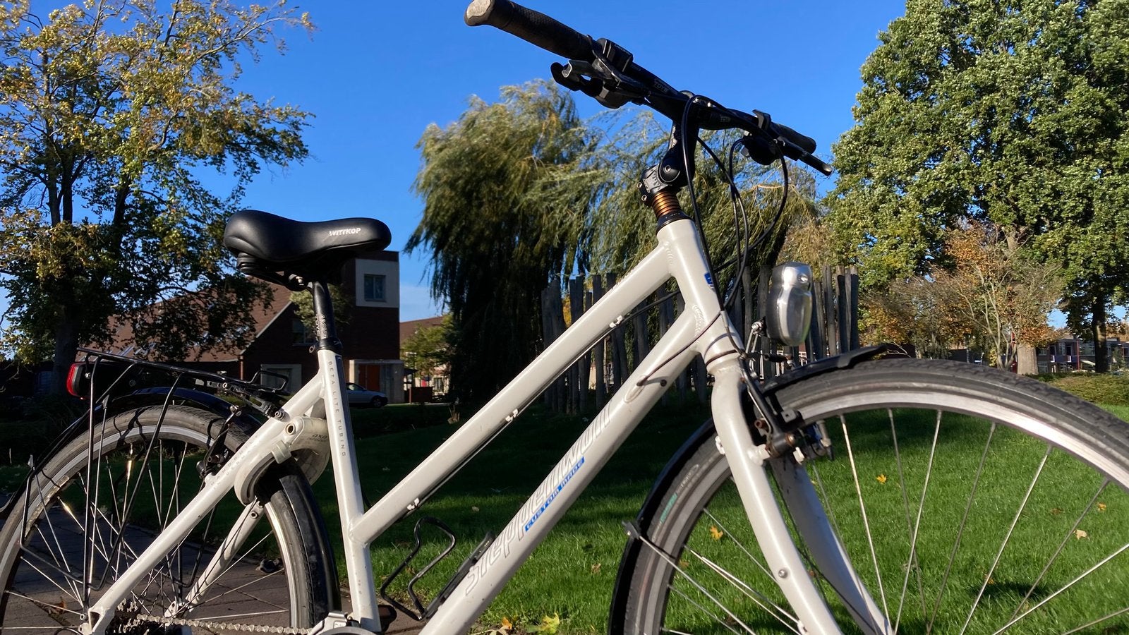 Damesfiets ‘Steppenwolf’ handgemaakt, Gebruikt, Versnellingen, 50 tot 53 cm, Ophalen