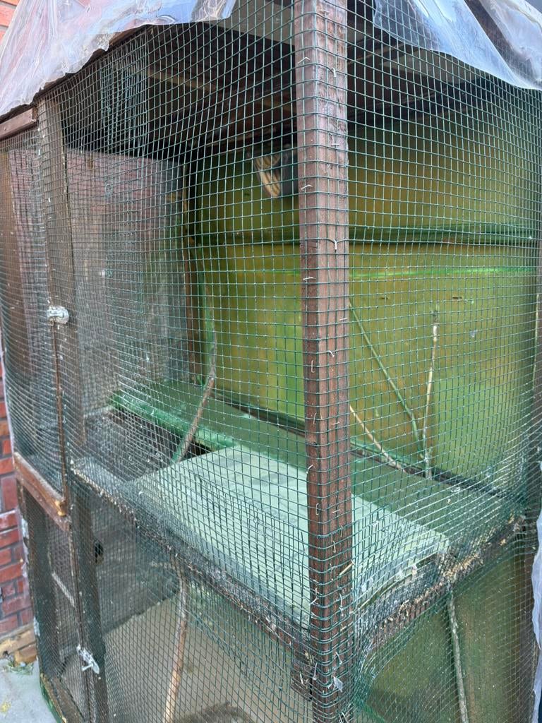 Vogelkooi, Dieren en Toebehoren, Ophalen of Verzenden, Gebruikt, Hout, Vogelkooi