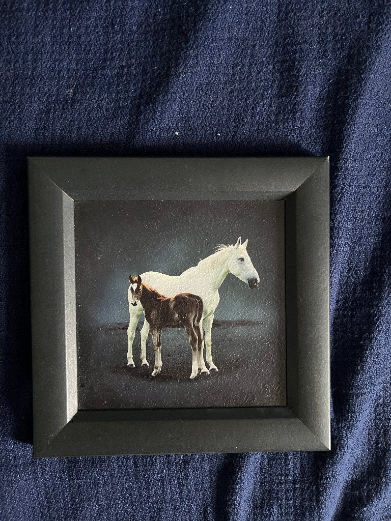 Paarden speciale print in houten lijst, Huis en Inrichting, Minder dan 50 cm, Ophalen of Verzenden, 5 – 50, Print