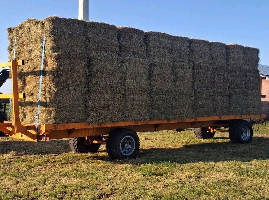 Te koop kleine pakjes hooi in bundels balen, Dieren en Toebehoren