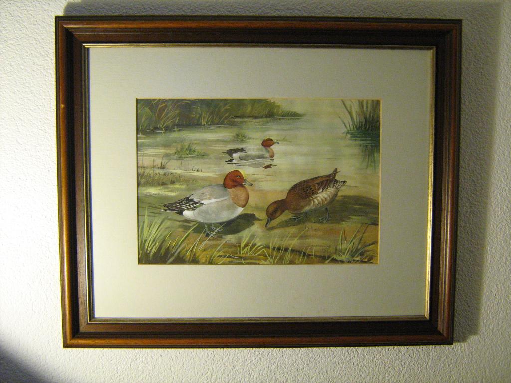 marius kolvoort eend smient jacht jachthut mancave waterwild, Ophalen