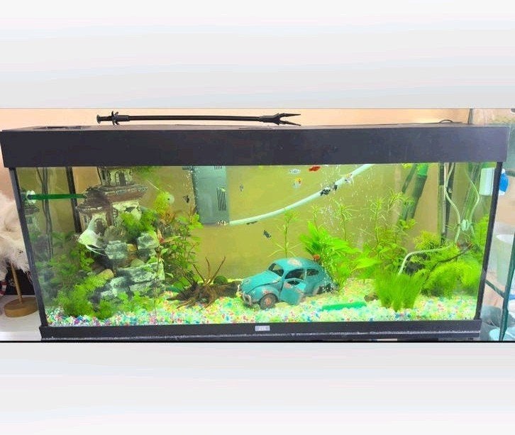 juwel rio 240l aquarium, Ophalen, Gebruikt, Gevuld zoetwateraquarium, Verwarming