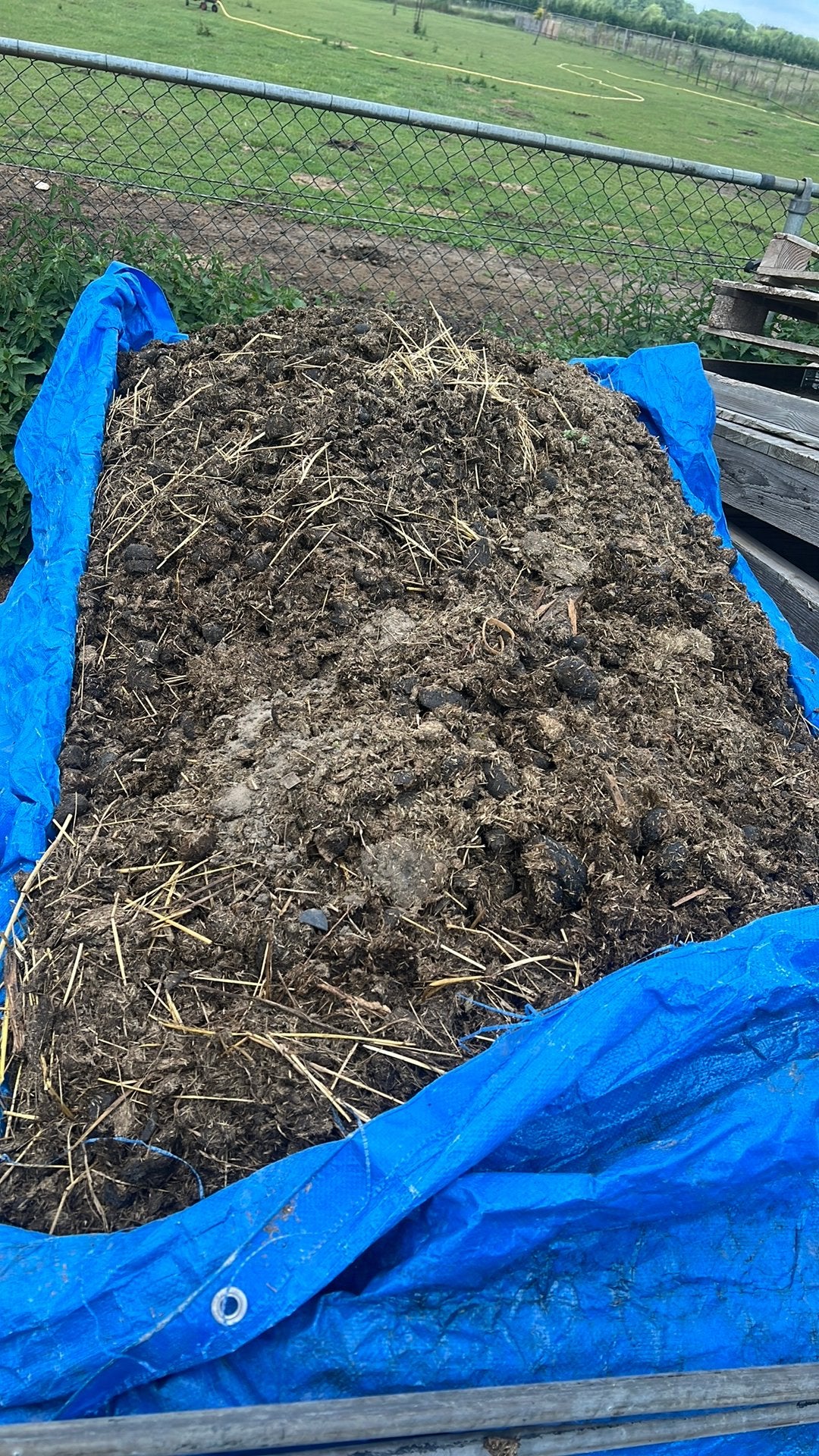 Gratis aanhanger met paarden mest, Tuin en Terras, Ophalen, Mest