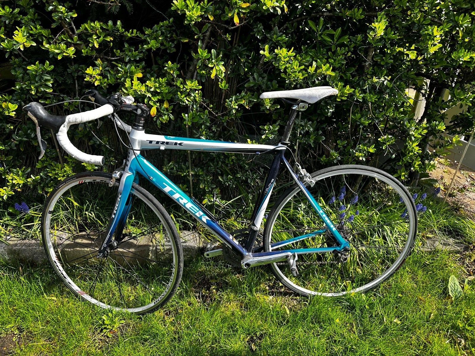 Trek Alpha Aluminium Racefiets met Shimano Ultegra, Overige merken, 28 inch, Gebruikt, Velgrem