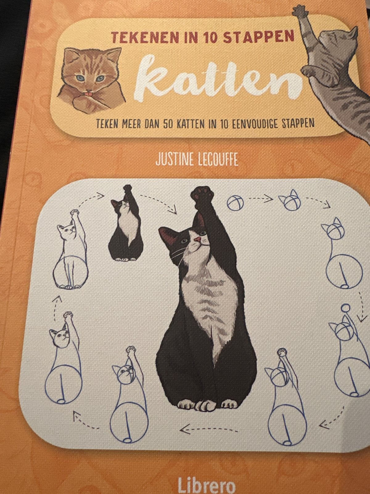 Tekenboek: Tekenen in 10 Stappen - Katten (Justine Lecouffe), Ophalen of Verzenden, Nieuw, Boek of Gids