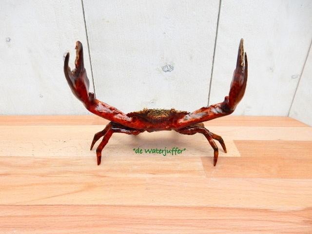 188* Bronzen krab rood (Boven €75 geen verzendkosten), Ophalen of Verzenden, Nieuw, Overige materialen, Dierenbeeld