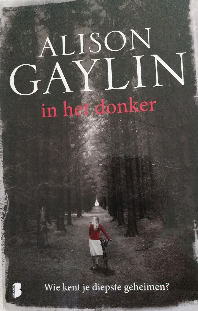 Boek In het donker Alison Graylin, Boeken, Gelezen, Ophalen of Verzenden, Alison Graylin, Amerika