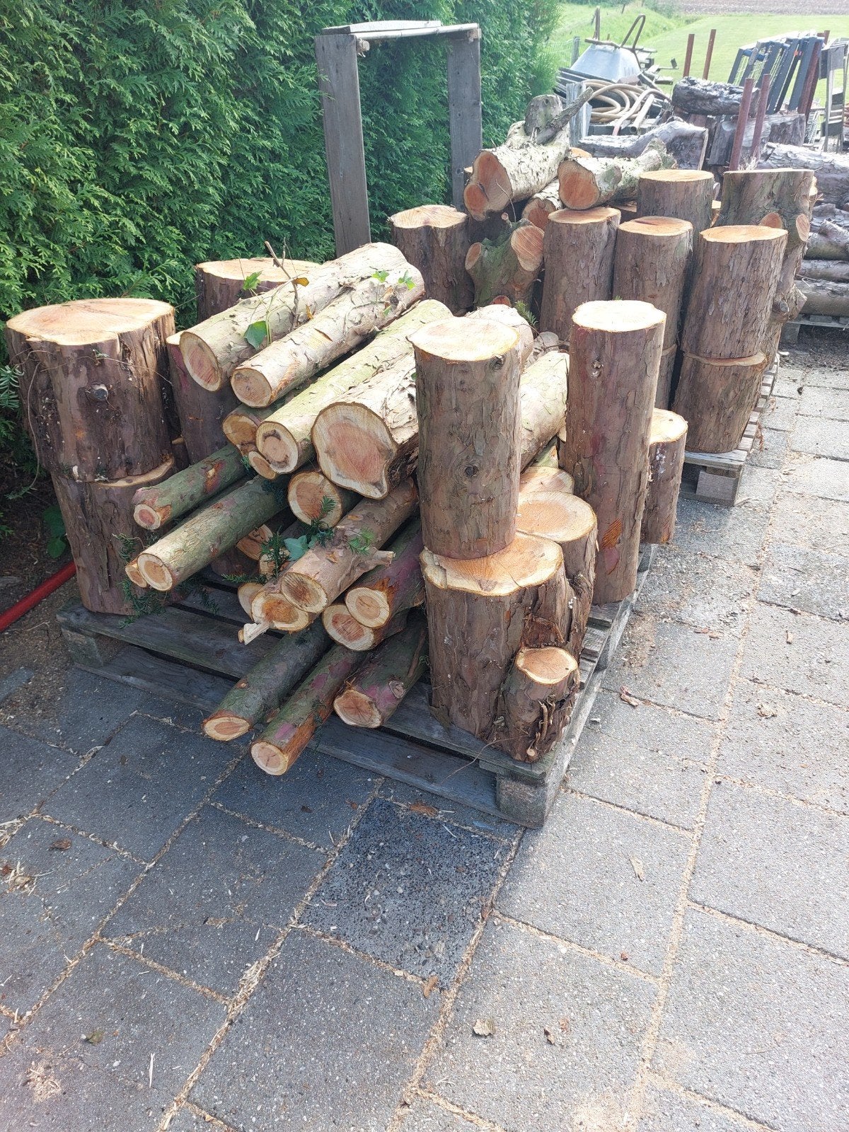 TAXUS hout, Minder dan 3 m³, Ophalen