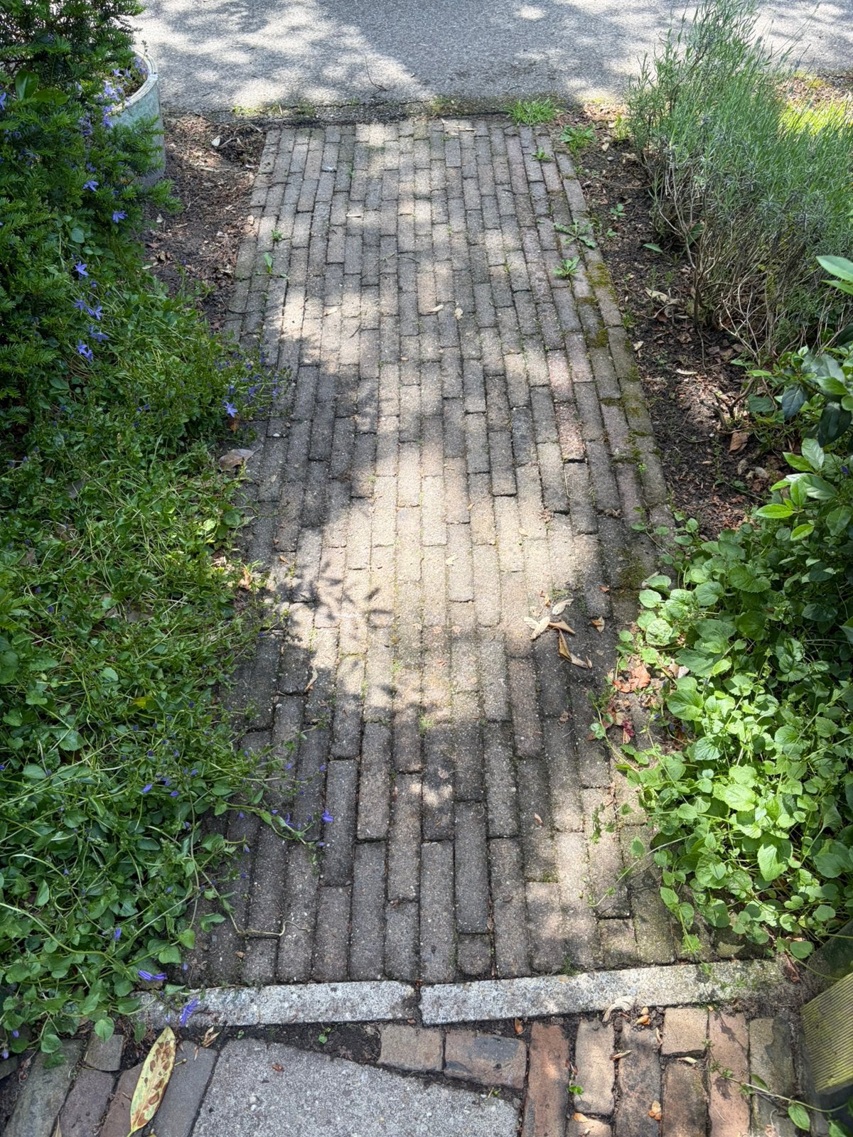 Klinkers (2,7 m2) gratis af te halen, Tuin en Terras, Tegels en Klinkers, Ophalen, Beton, Klinkers