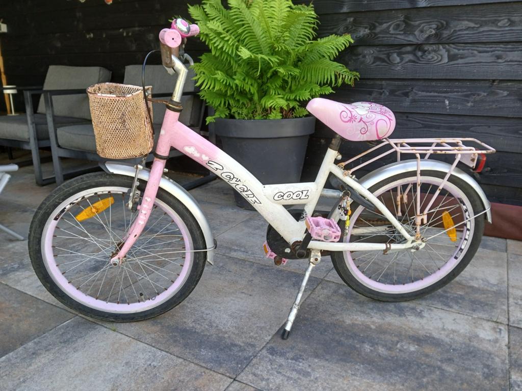 Roze kinderfiets 20 inch met mandje en bagagedrager, Ophalen of Verzenden