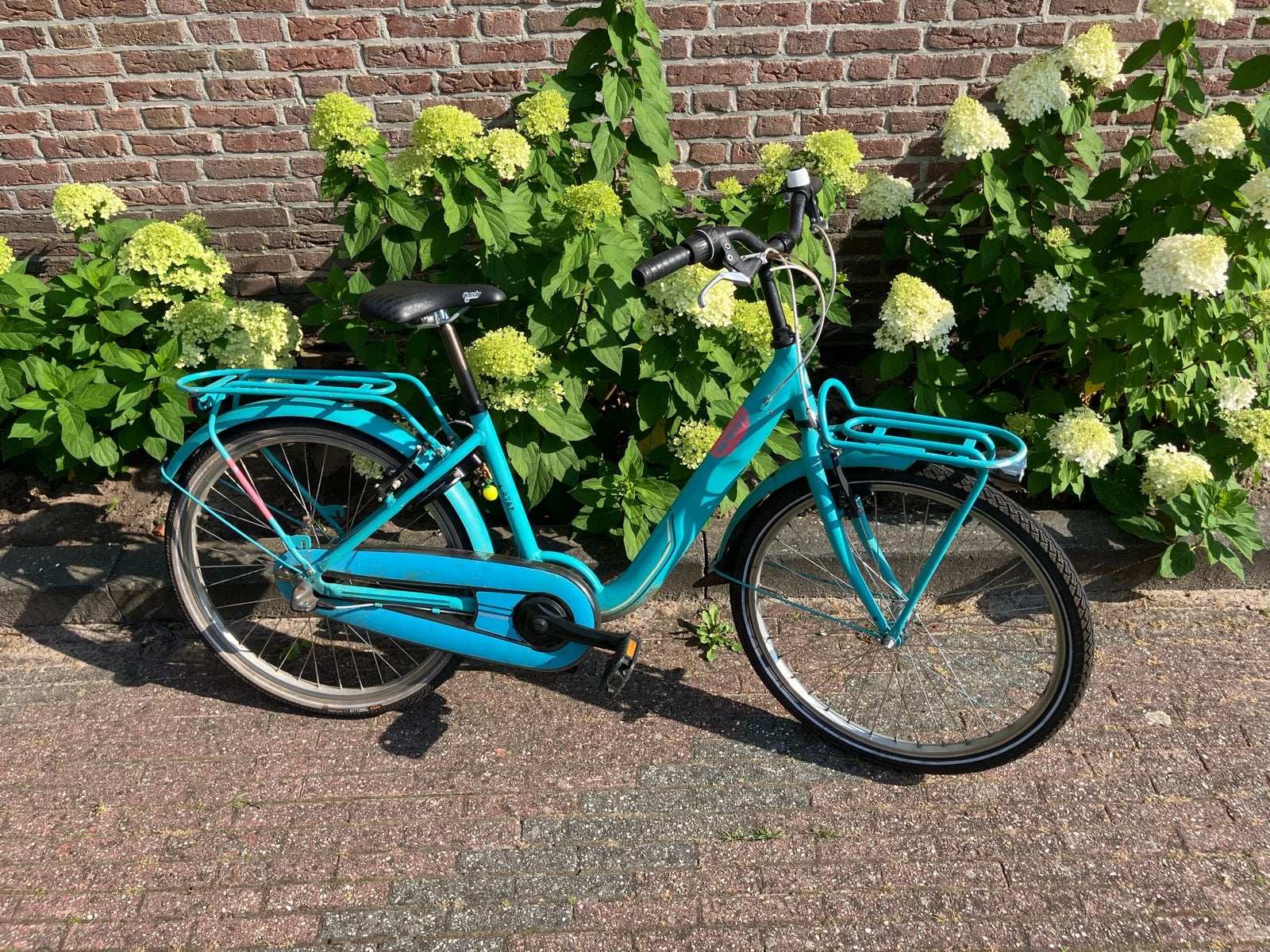 Kinderfiets 24 inch Batavia - Turquoise, Ophalen, Gebruikt, Terugtraprem, 20 inch of meer
