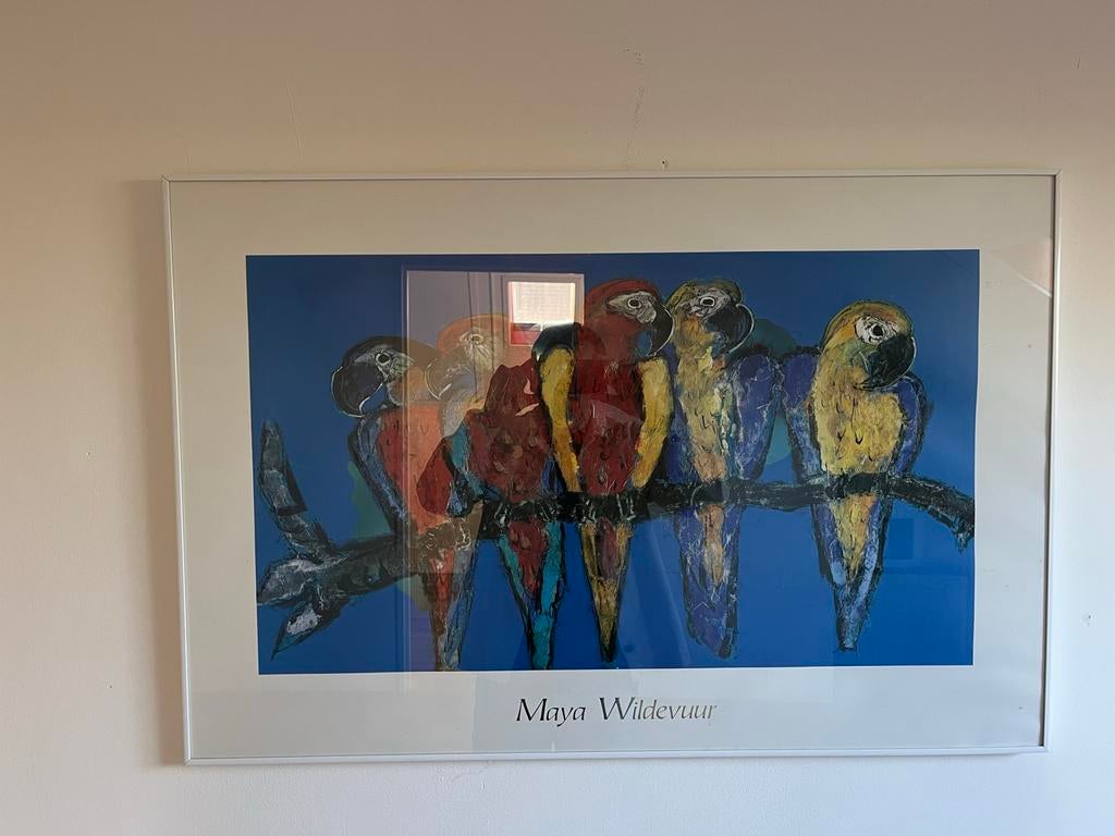 Poster/schilderij papegaaien, Ophalen