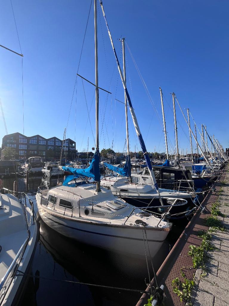 leisure 22, Watersport en Boten, Ophalen, Gebruikt, Tourjacht of Cruiser, 6 tot 9 meter