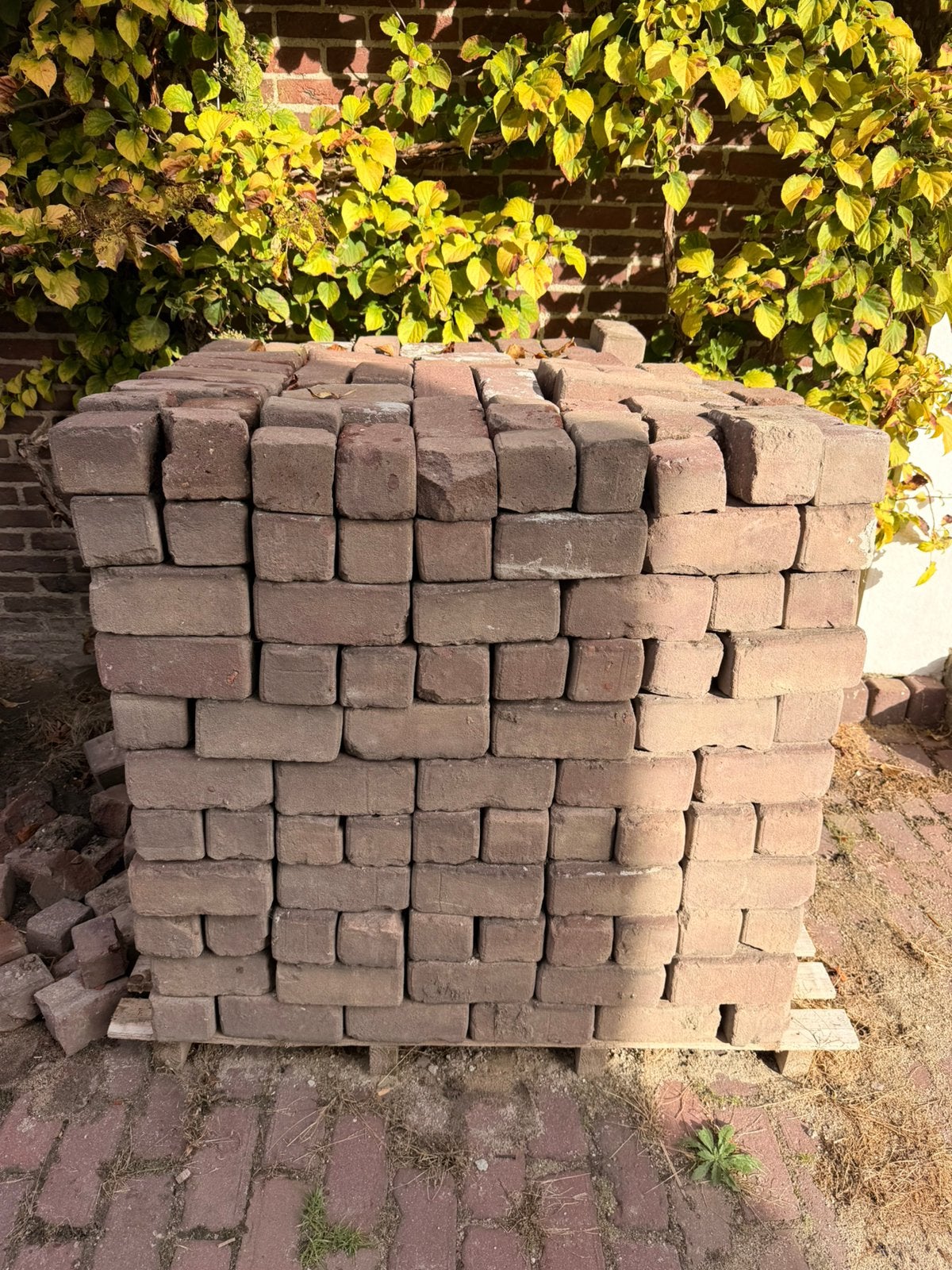 Boeren gebakken klinkers 51m2.   +/- 20x9x9, Ophalen, Zo goed als nieuw, Klinkers