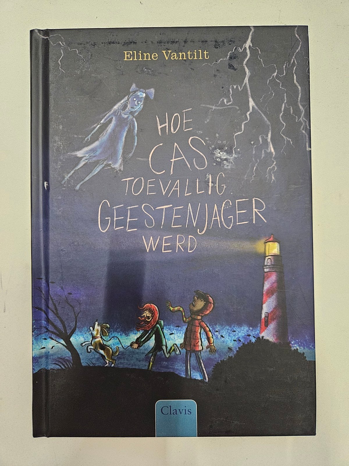 Hoe Cas toevallig geestenjagen werd, Ophalen of Verzenden