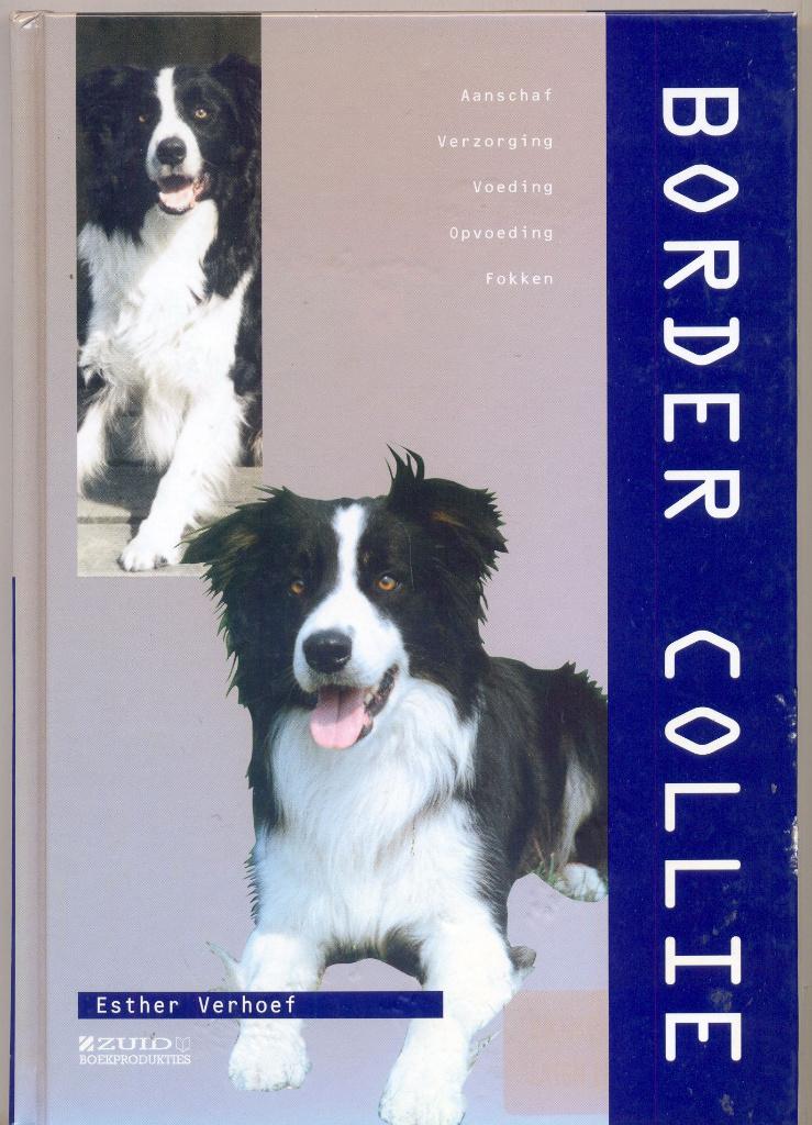 Border collie - E. Verhoef, Gelezen, Honden, Ophalen of Verzenden, E. Verhoef