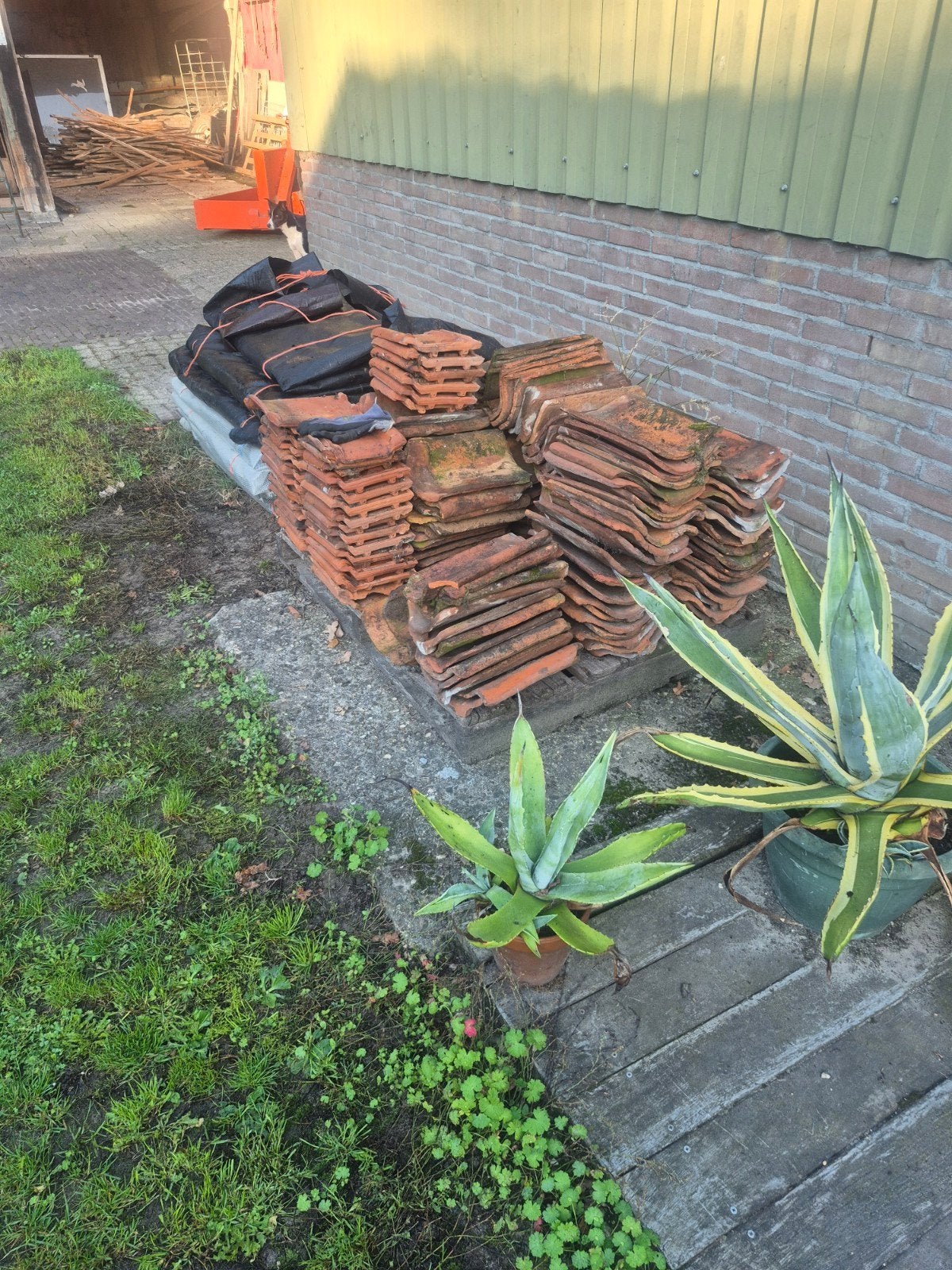 Gebruikte dakpannen, Ophalen of Verzenden