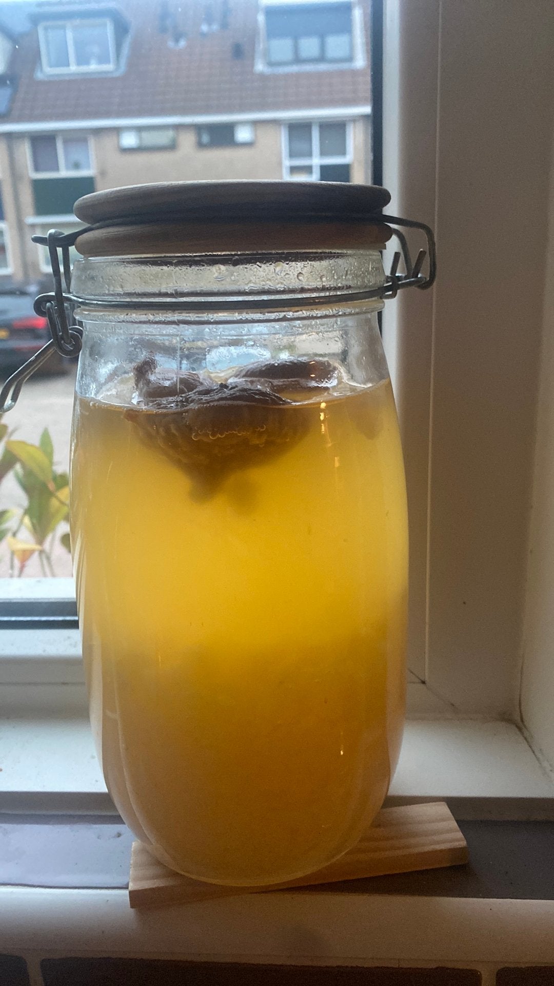 Biologische waterkefir korrels gratis 100 gram, Ophalen