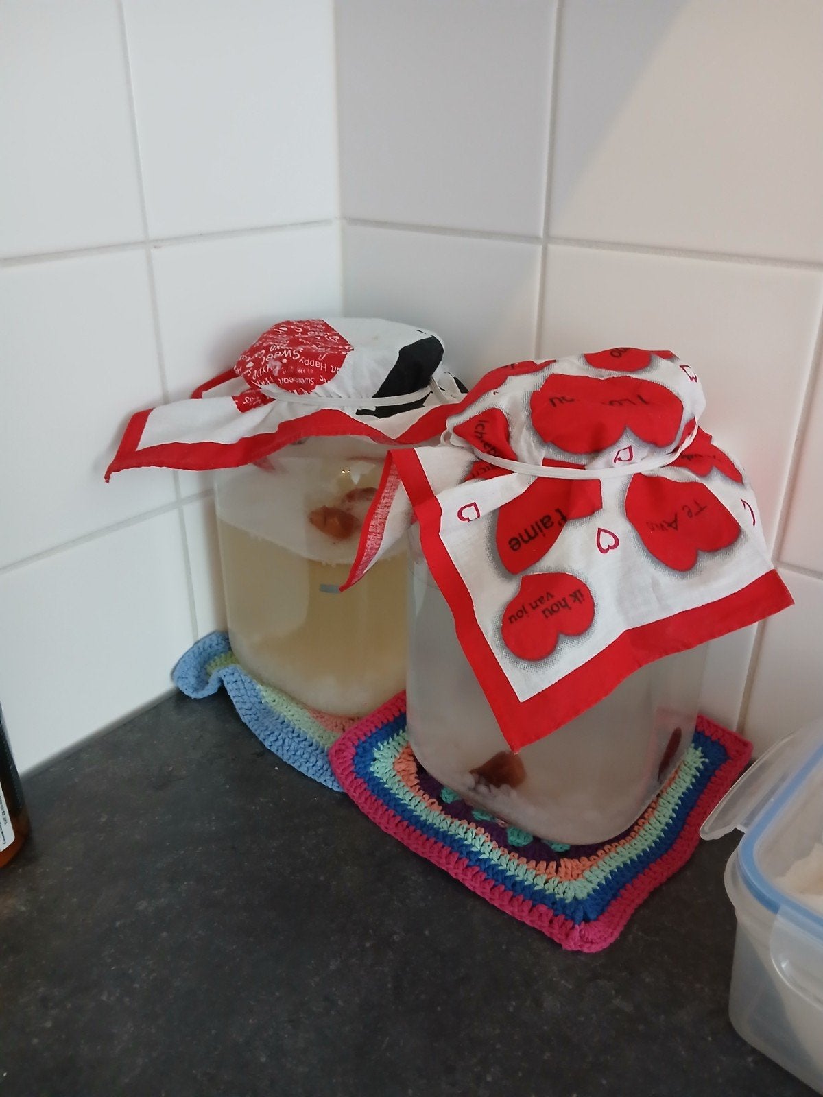 Korrels waterkefir, Diversen, Levensmiddelen, Ophalen