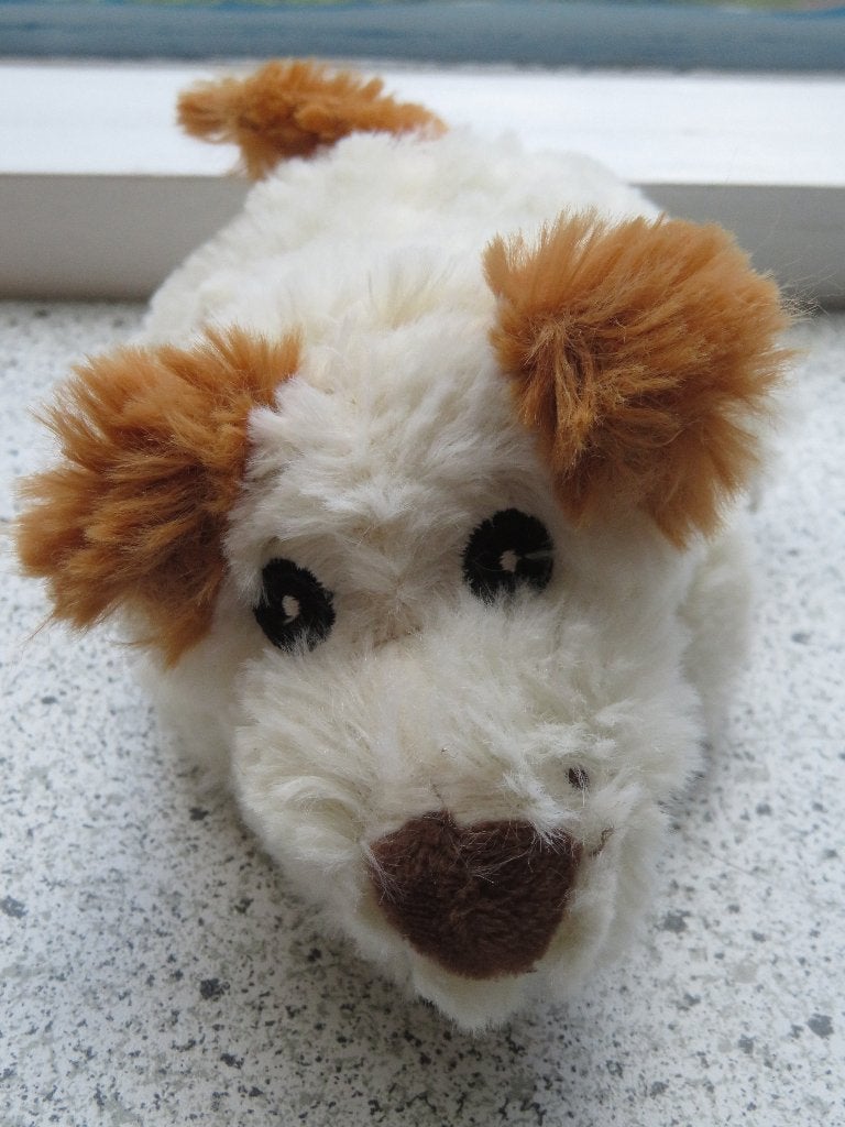 Hond of hondje van Action merk ZD Trading geborduurde ogen, Zo goed als nieuw, Wasbaar, Klein (minder dan 20 cm), Hond