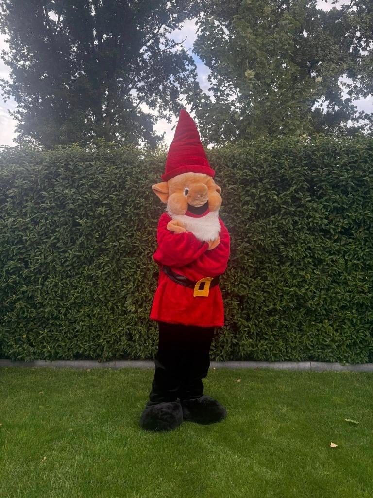 Te Huur: Kabouter-Kostuum, Verjaardag, Carnaval, Kabouter, Ophalen of Verzenden, Zo goed als nieuw, Overige