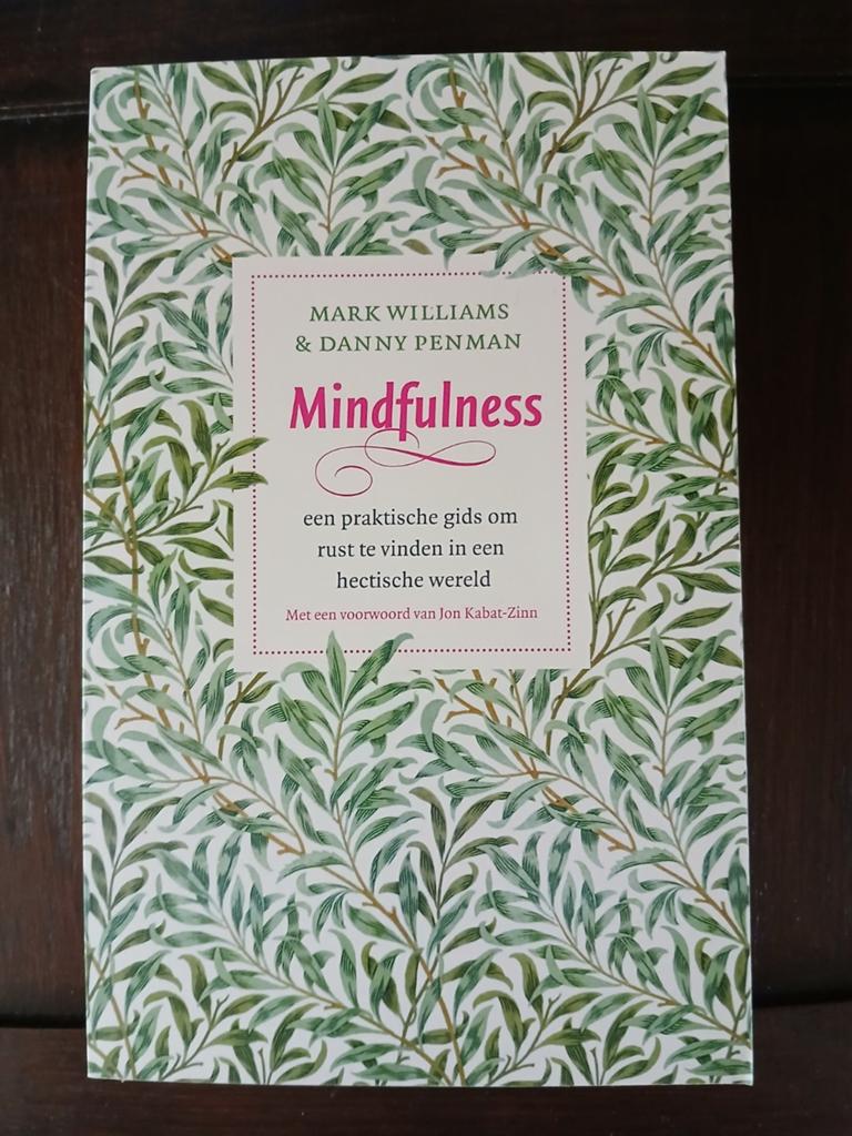 Mindfulness een praktische gids, Ophalen of Verzenden, Zo goed als nieuw, Overige onderwerpen, Instructieboek