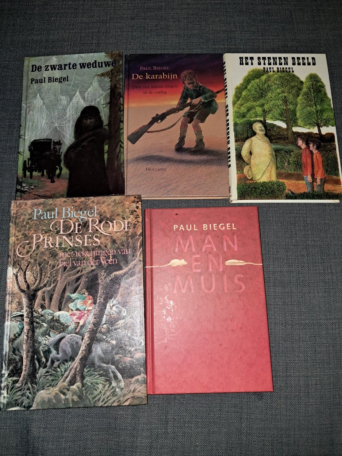 Paul Biegel Boeken Collectie - 5 Sprookjes & Fictie Boeken, Ophalen of Verzenden, Gelezen, Paul Biegel, Sprookjes