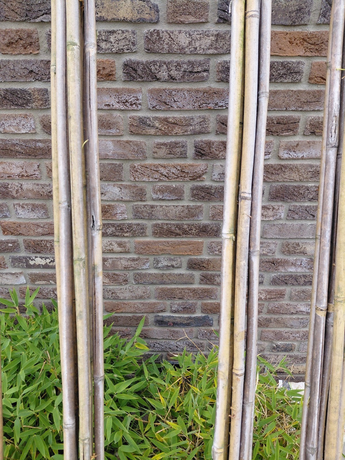 28 bamboestokken 2,5 m, Ophalen, Minder dan 180 cm, Palen