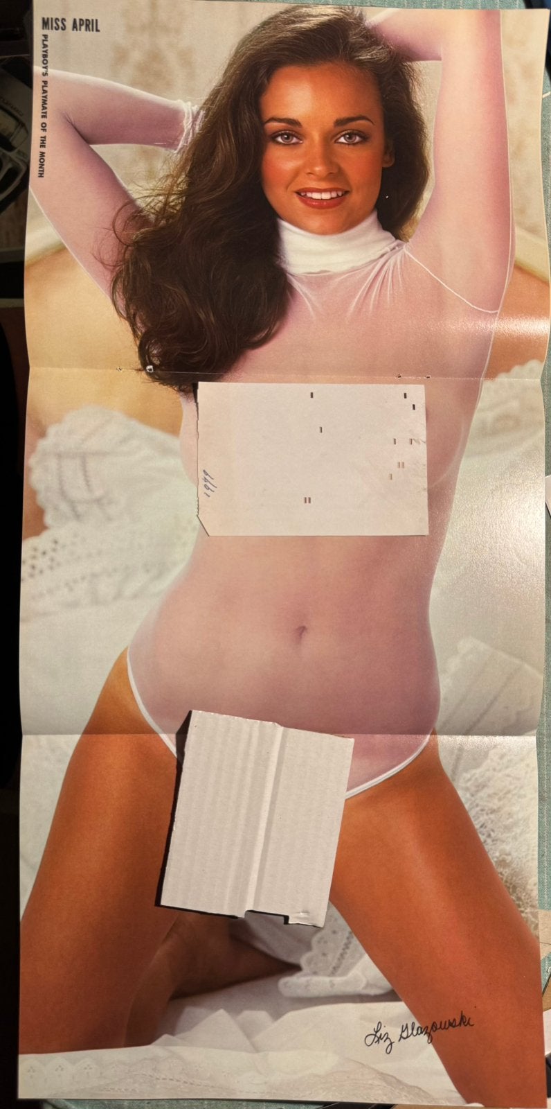 Poster 1980 Playmate Liz Glazowski, Rechthoekig Staand, Verzenden, Deurposter of groter, Zo goed als nieuw