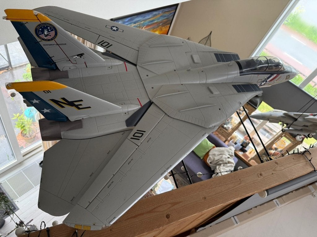 F14 TOMCAT PNP Freewing RC vliegtuig TOP GUN?, Hobby en Vrije tijd, Modelbouw | Radiografisch | Vliegtuigen, Ophalen of Verzenden